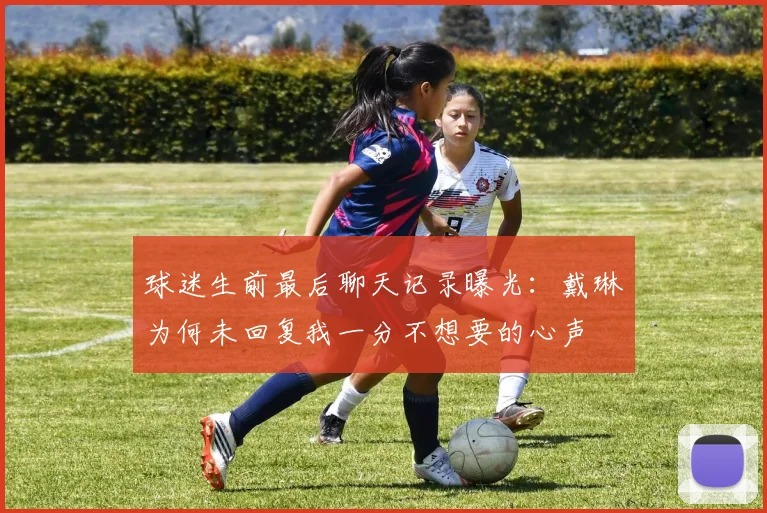球迷生前最后聊天记录曝光：戴琳为何未回复我一分不想要的心声